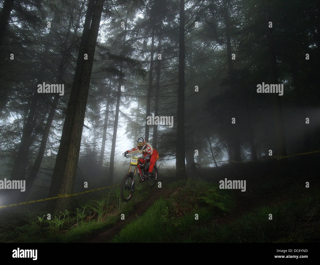 Du vélo de montagne dans la forêt brumeuse Banque D'Images