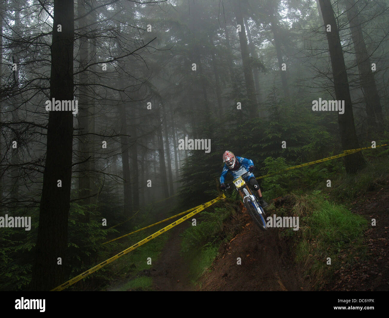 Du vélo de montagne dans la forêt brumeuse Banque D'Images