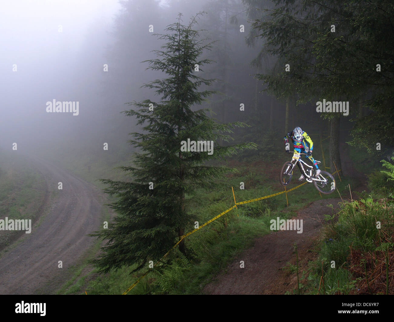 Mountain biker jumping en forêt brumeuse Banque D'Images