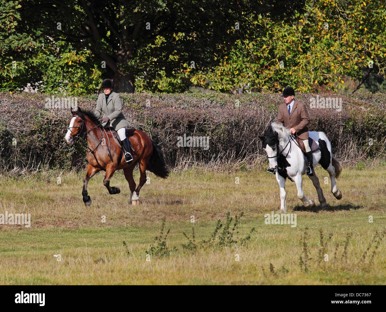 Deux cavaliers au galop Banque de photographies et d’images à haute