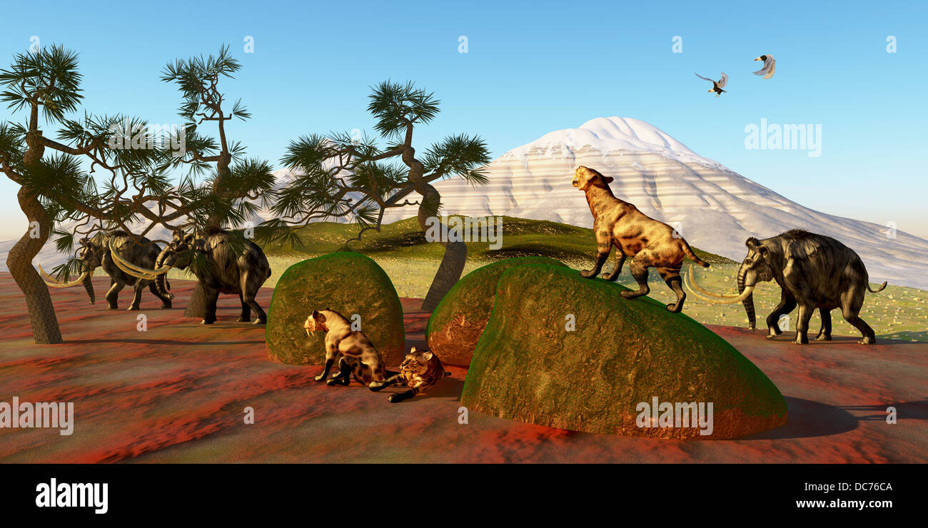 Une famille de tigres à dents de sabre regardez comme un troupeau de mammouths laineux passent leur tanière. Banque D'Images