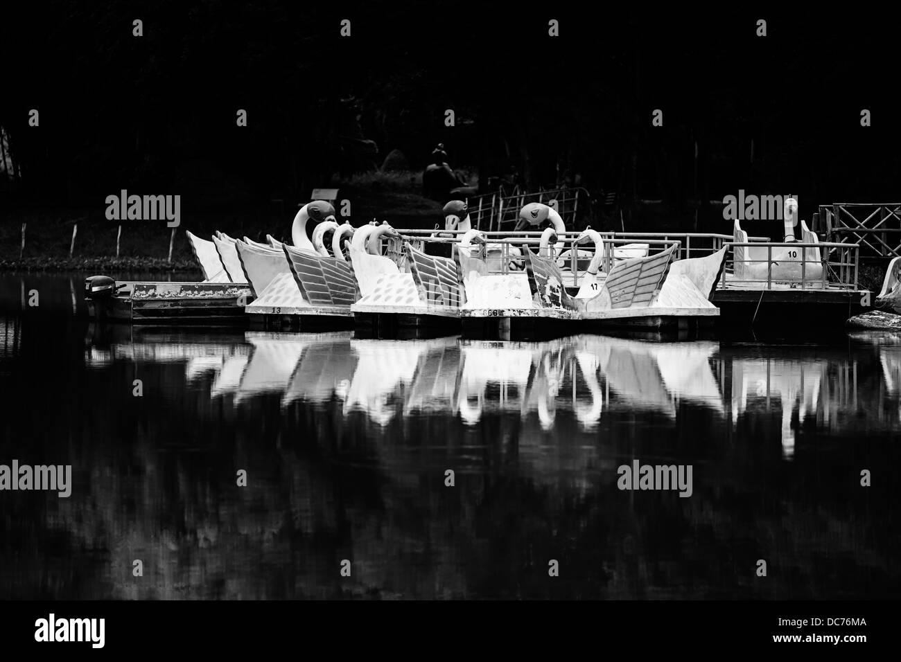 White swan boat Banque de photographies et d’images à haute résolution ...