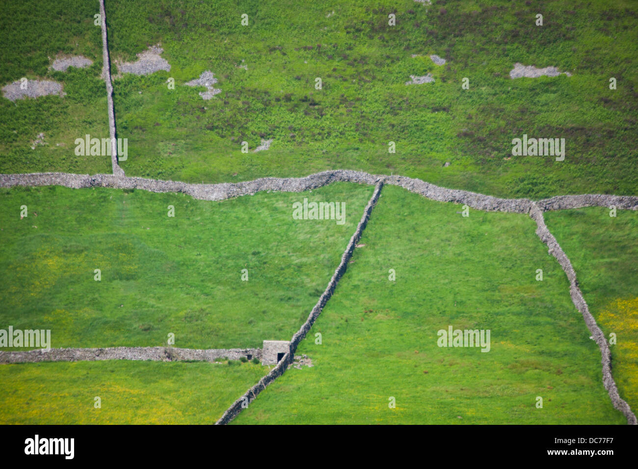 Yorkshire Dales domaine grange et murs en pierre sèche, dans l'été. Banque D'Images