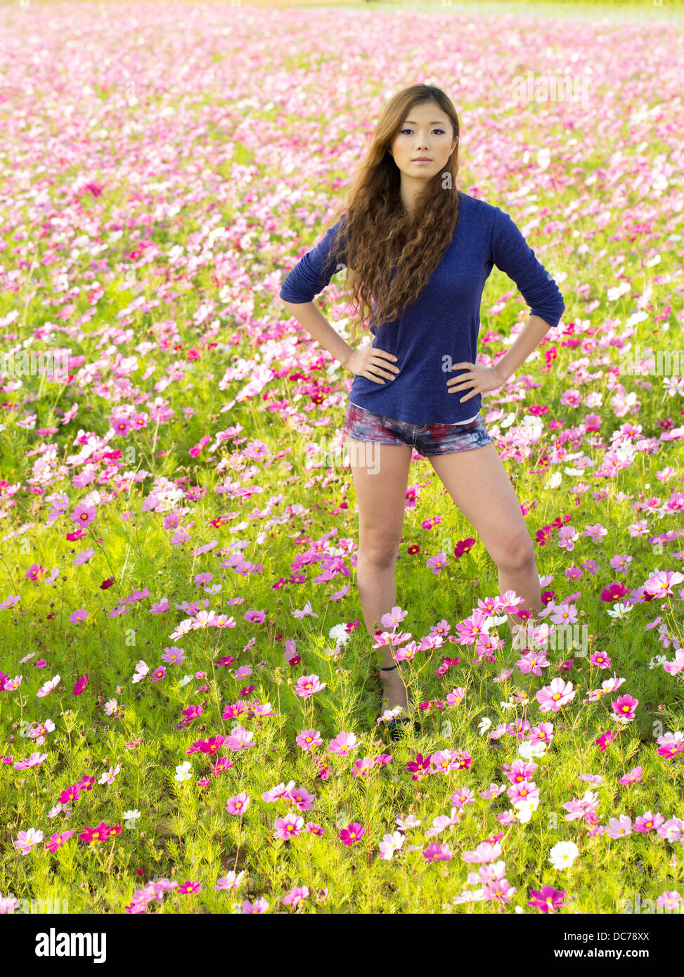 Belle fille japonaise dans le champ de fleurs cosmos, Kin Ville, Okinawa, Japon Banque D'Images