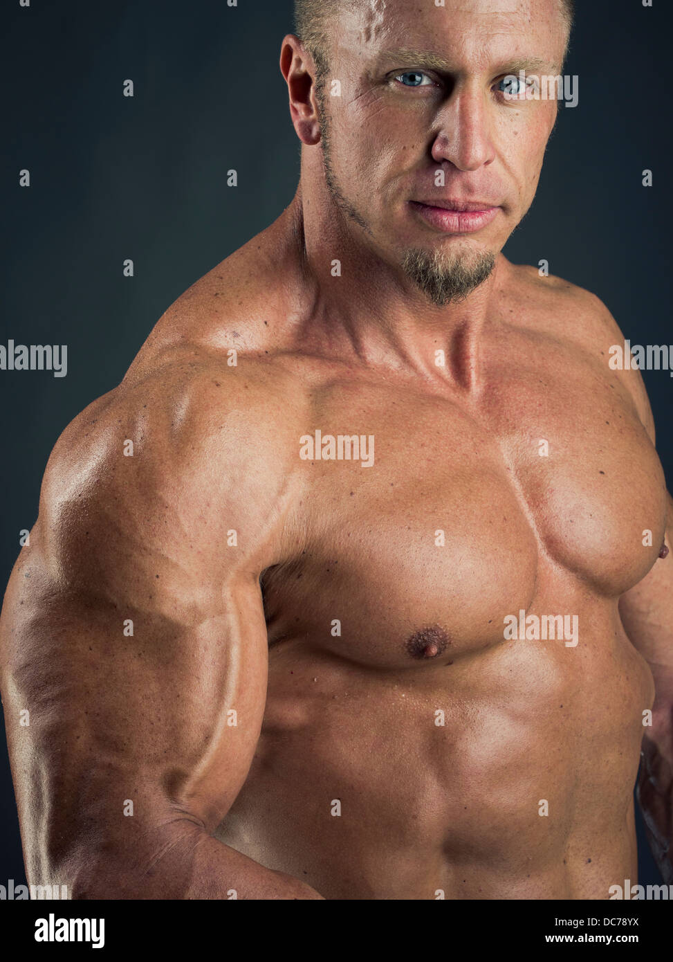 Male bodybuilder Banque D'Images