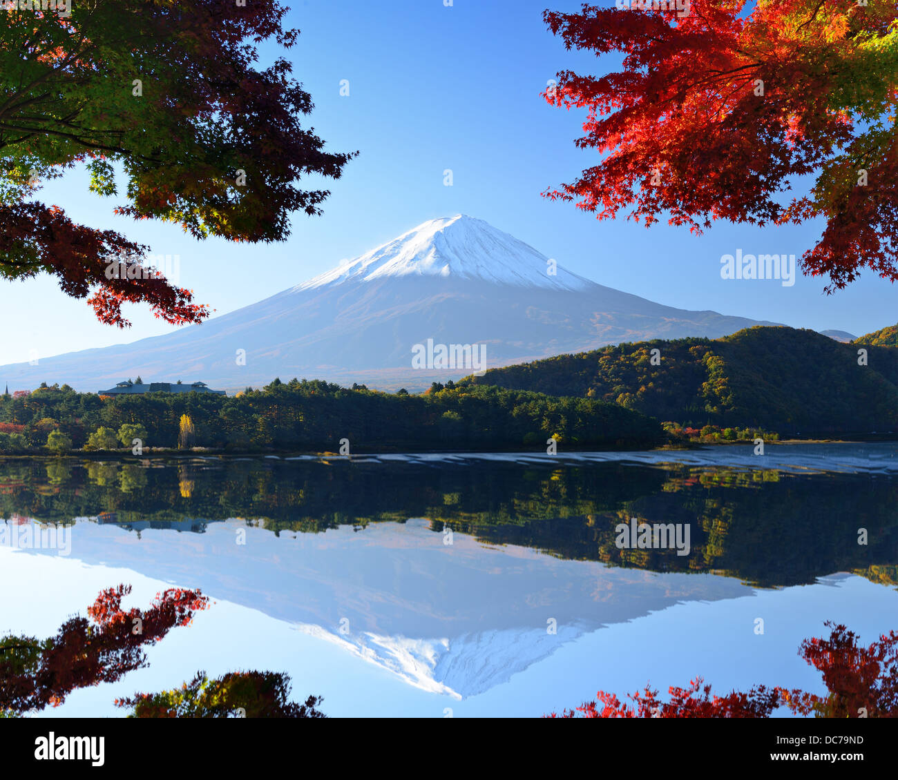 Mt. Fuji et feuillage d'automne au lac Kawaguchi. Banque D'Images
