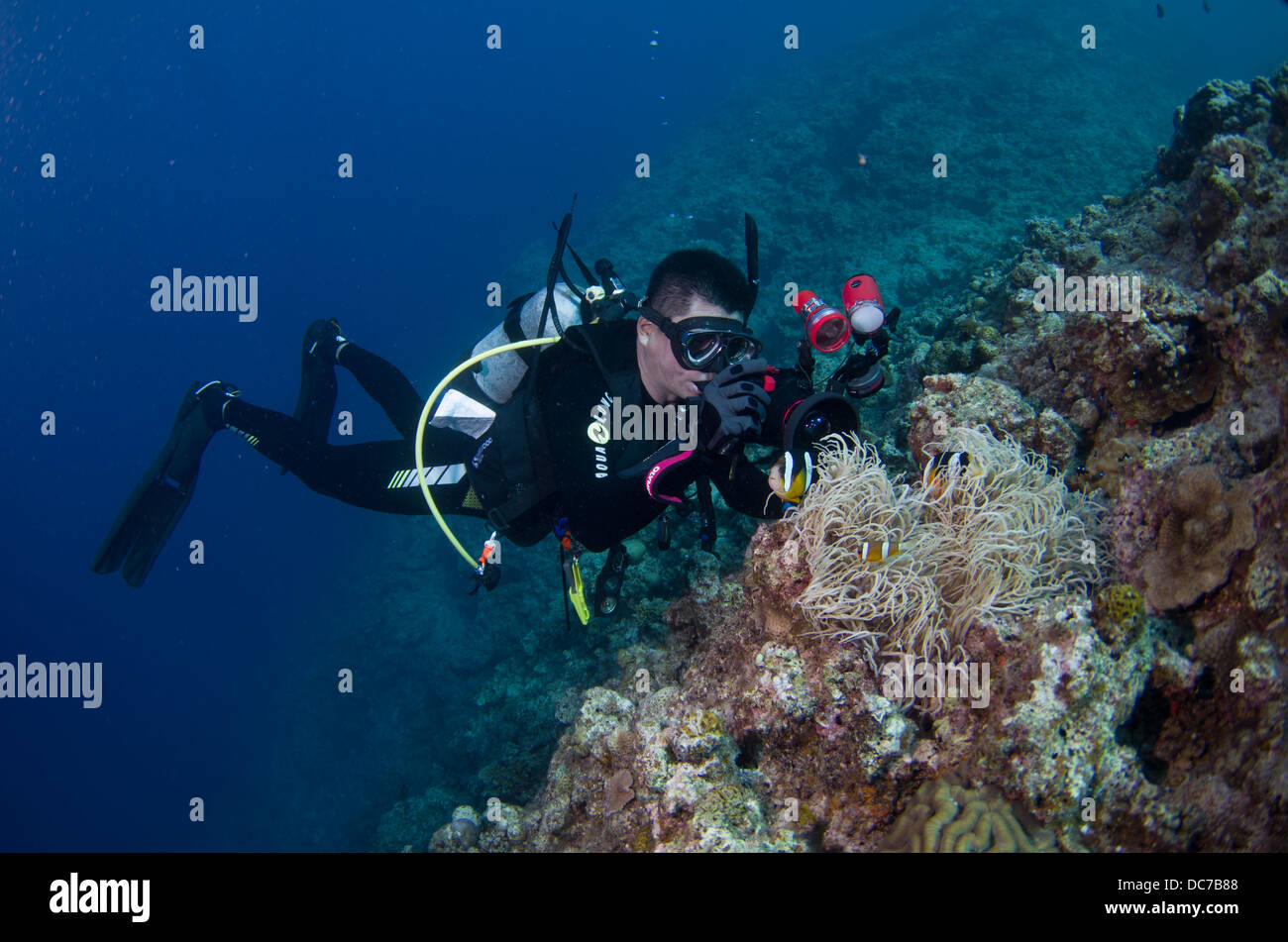 Photographe plongeur autonome de prendre des photos sous l'eau, Cap Maeda, Okinawa Banque D'Images