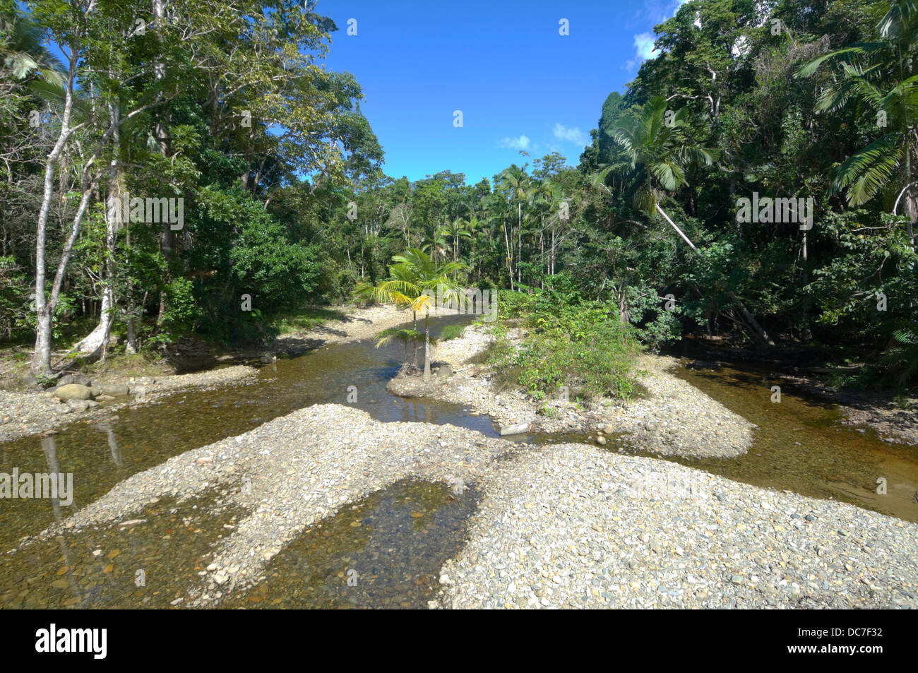 Creek - Parc national de Daintree - Le Nord du Queensland - Australie Banque D'Images