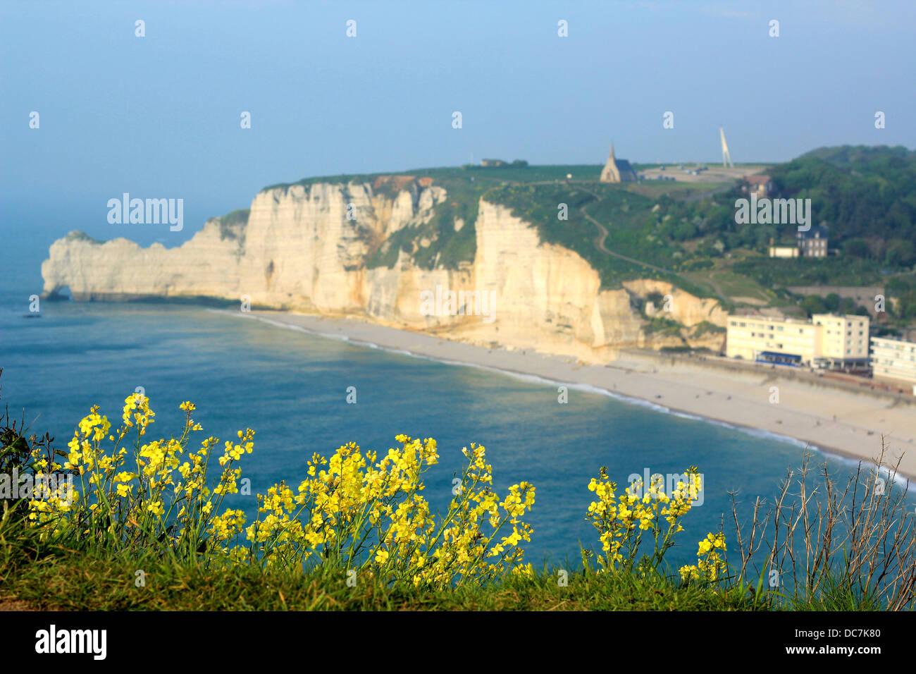 Etretat (Normandie, France) paysage fleurs sauvages sur l'avant-plan avec la célèbre falaise d'Etretat sur l'arrière-plan Banque D'Images