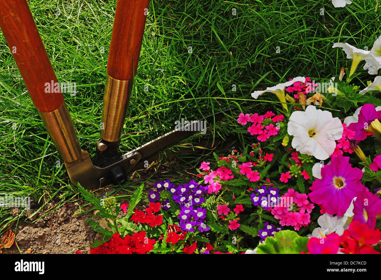 Fraisage cisailles à la lisière d'un jardin avec des fleurs en premier plan Banque D'Images