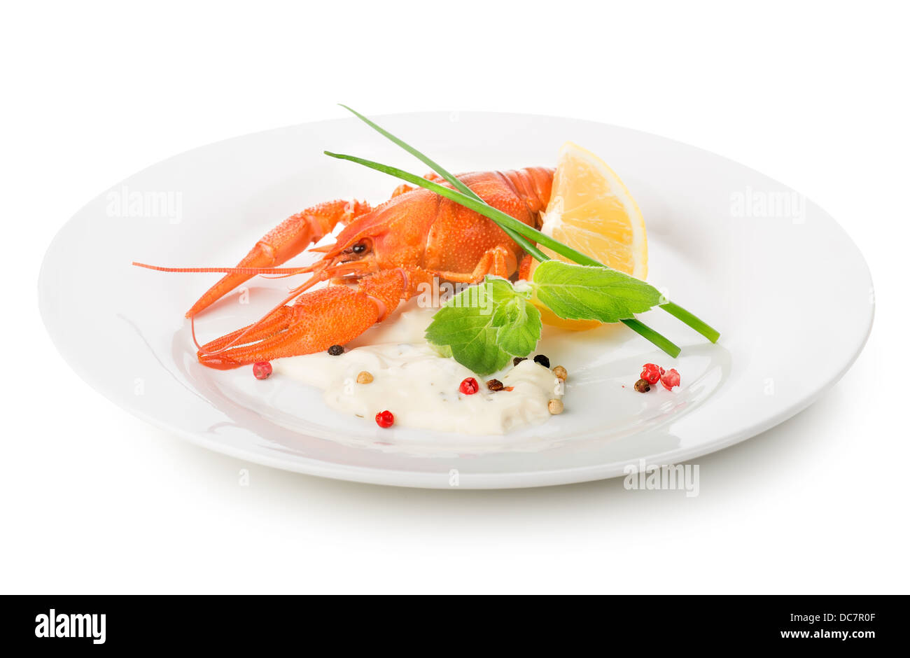 Le homard sur une plaque blanche isolé sur fond blanc Banque D'Images