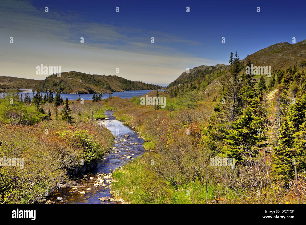 Brook et le lac, Ganite Coast Drive, dans le sud de Terre-Neuve Banque D'Images