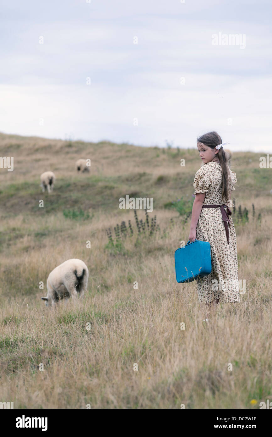 Une fille dans une robe vintage sur une prairie avec moutons Banque D'Images