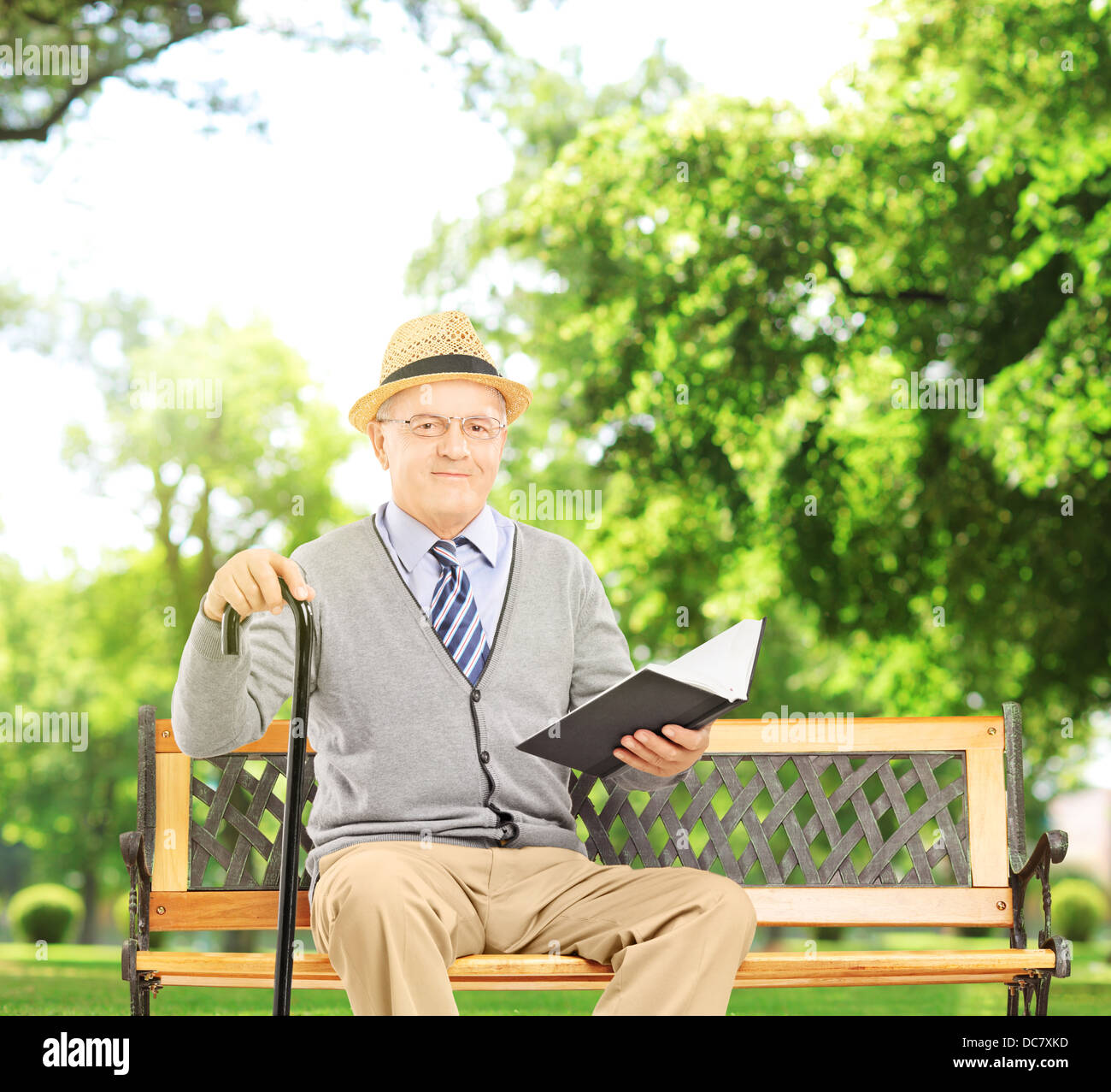 Hauts homme assis sur un banc en bois et la lecture d'un livre, dans un parc, tourné avec Objectif de décentrement et un Banque D'Images