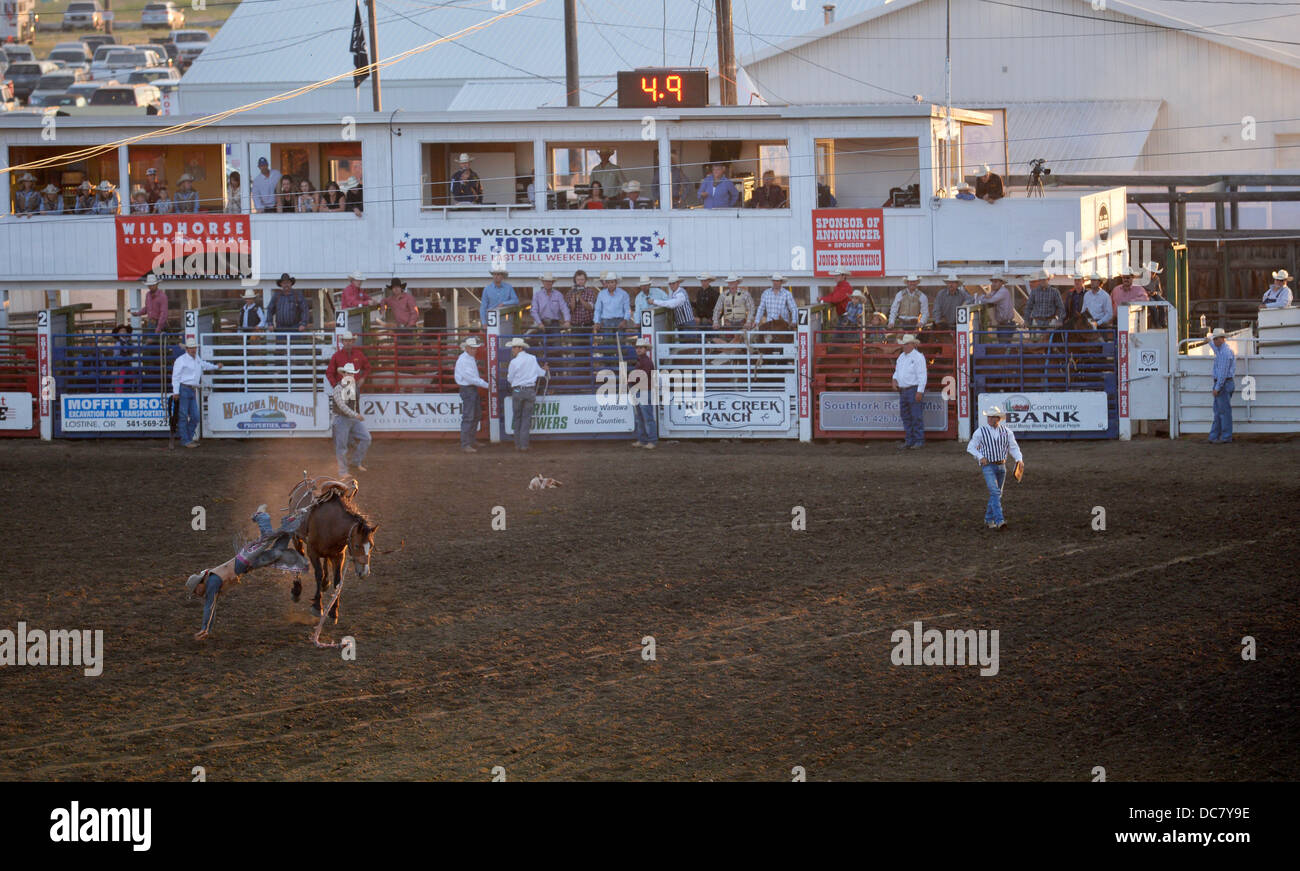 Cowboy de tomber de son cheval durant la selle bronc événement au Chef Joseph Jours Rodeo dans Joseph, Oregon. Banque D'Images
