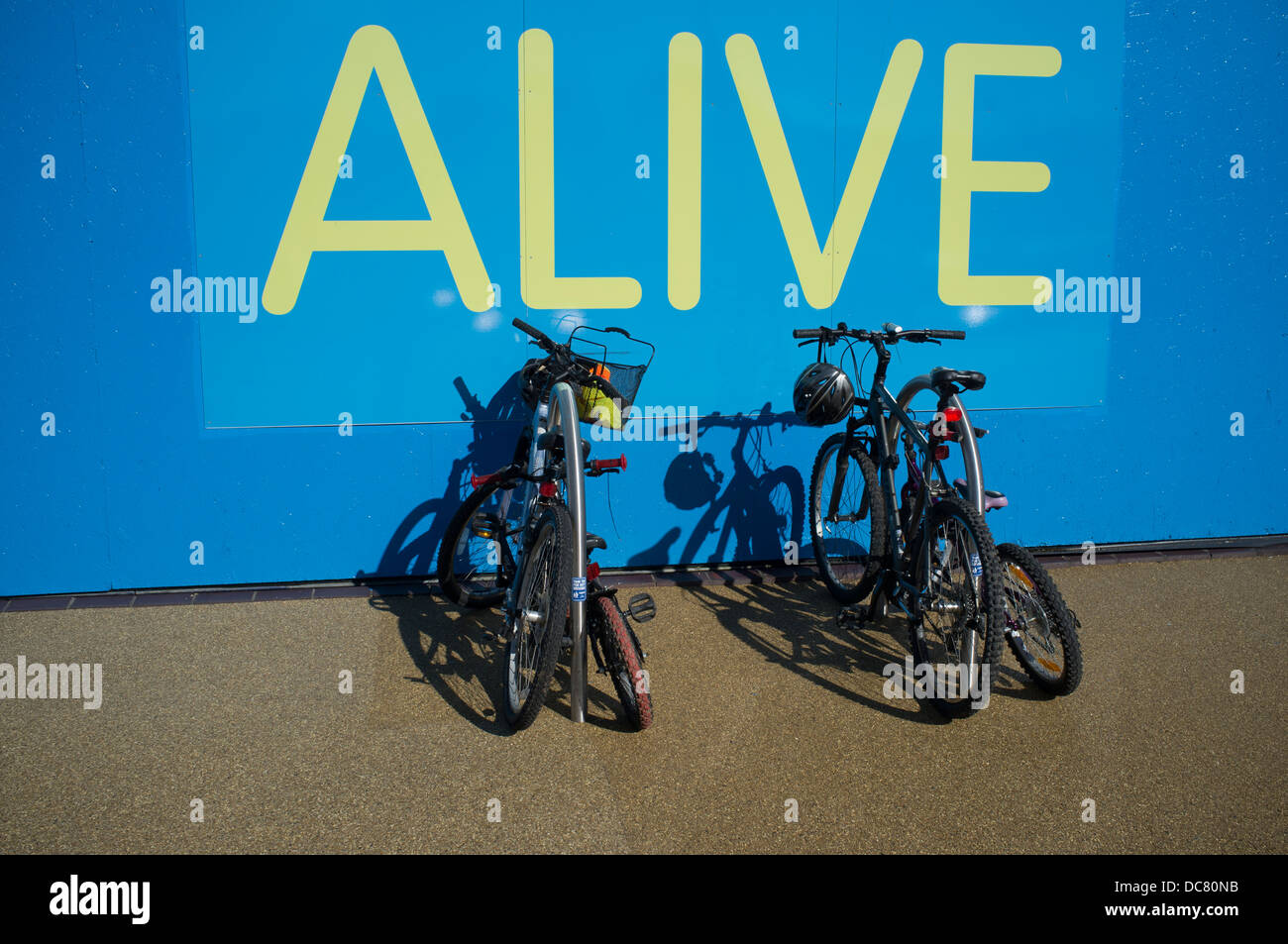 Prêt de vélos garés contre mur avec le mot 'vivant' Banque D'Images