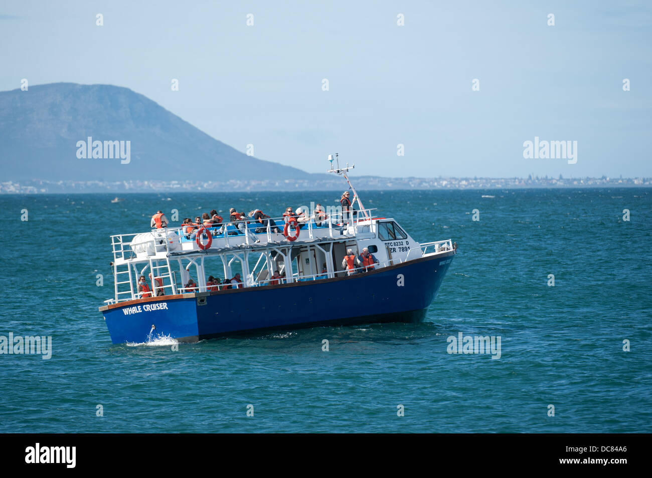 Bateau d'observation des baleines à côté d'une baleine, Hermanus, Western Cape, Afrique du Sud Banque D'Images