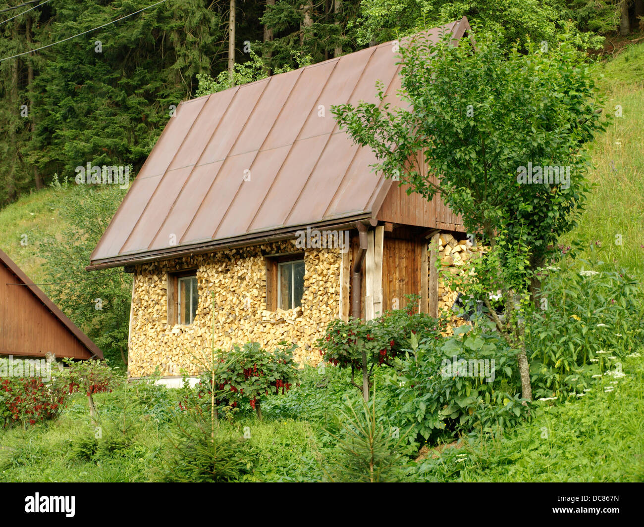 Petite maison en bois chalet garni de bois haché architecture isolation dans village Staré Hory dans les Basses Tatras Slovaquie Banque D'Images