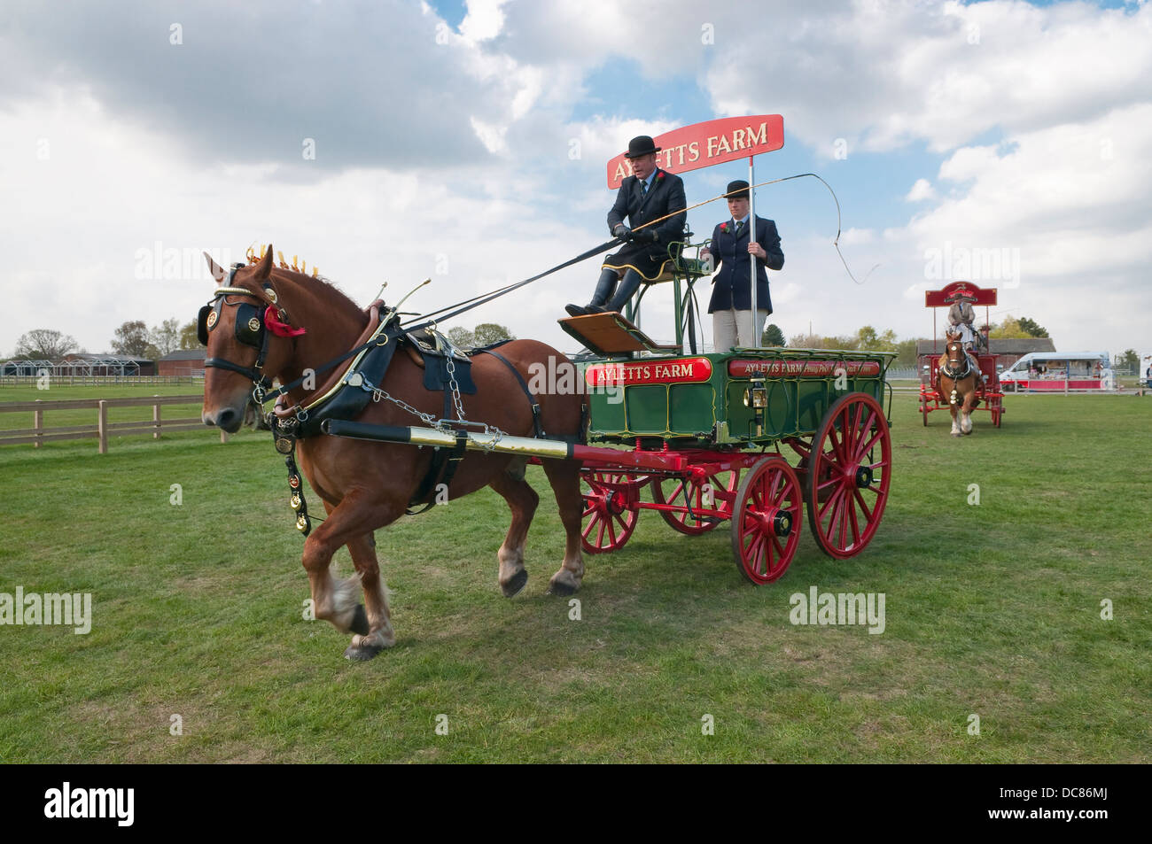 Suffolk Horse Show 2013 Le cheval lourd des branchements. Ipswich Showgrounds, Ipswich, Suffolk, UK. Banque D'Images