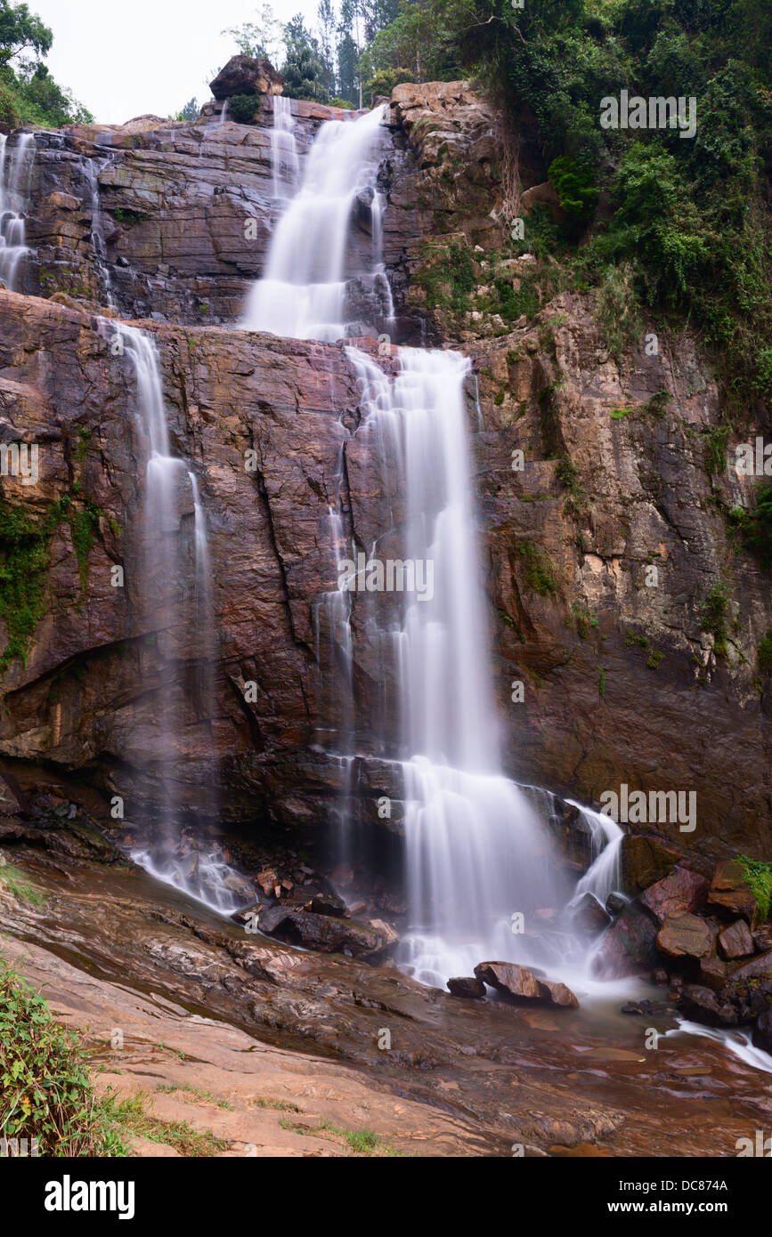 Belle cascade, Ramboda Falls Cascade dans Sri Lanka Banque D'Images