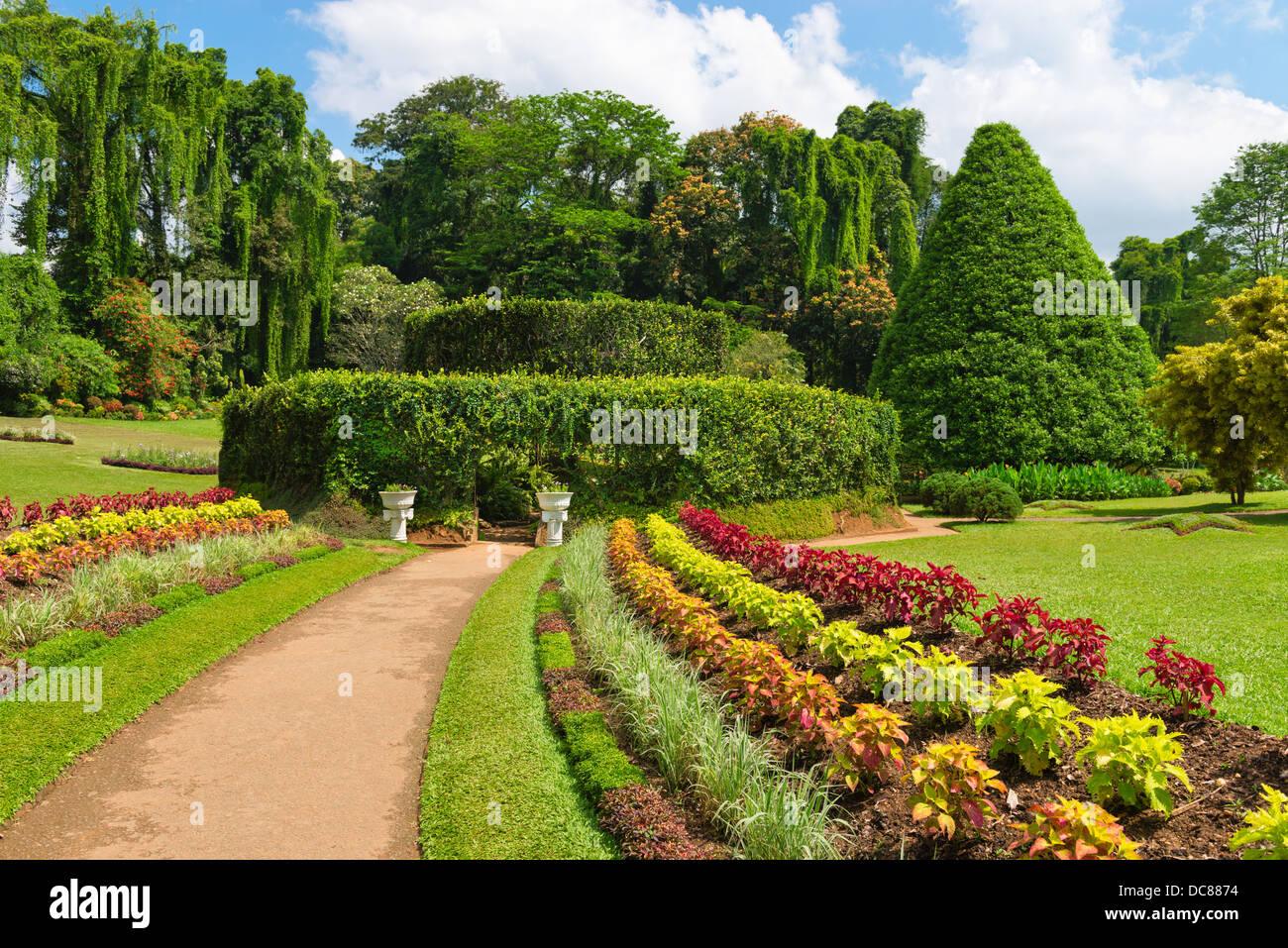 Beaux jardins botaniques royaux tropicaux, Peradeniya, Kandy, Sri Lanka Banque D'Images