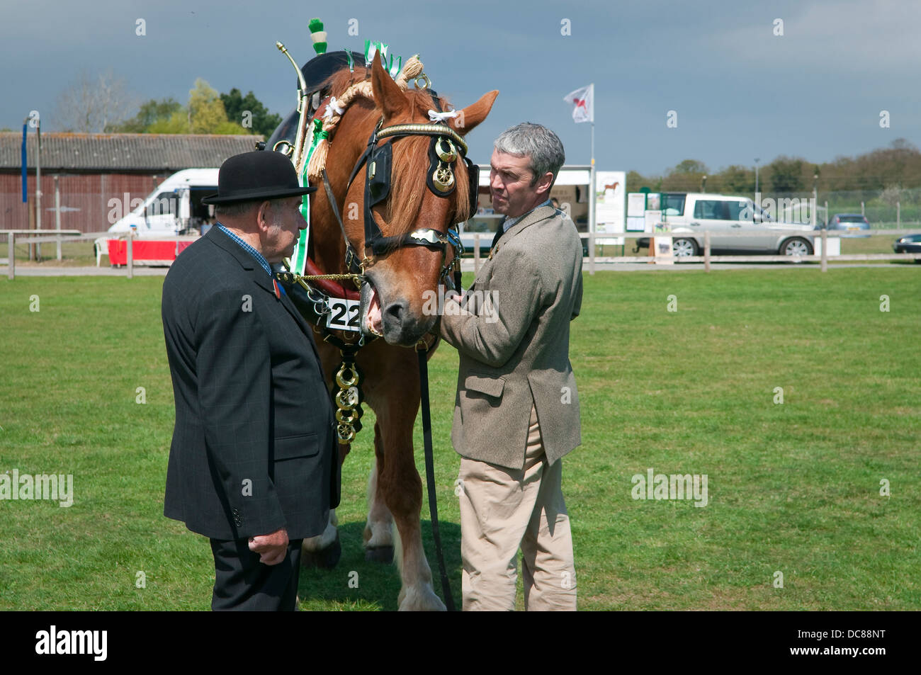 Cheval lourd à Suffolk Horse Show 2013, Ipswich Showgrounds. Banque D'Images