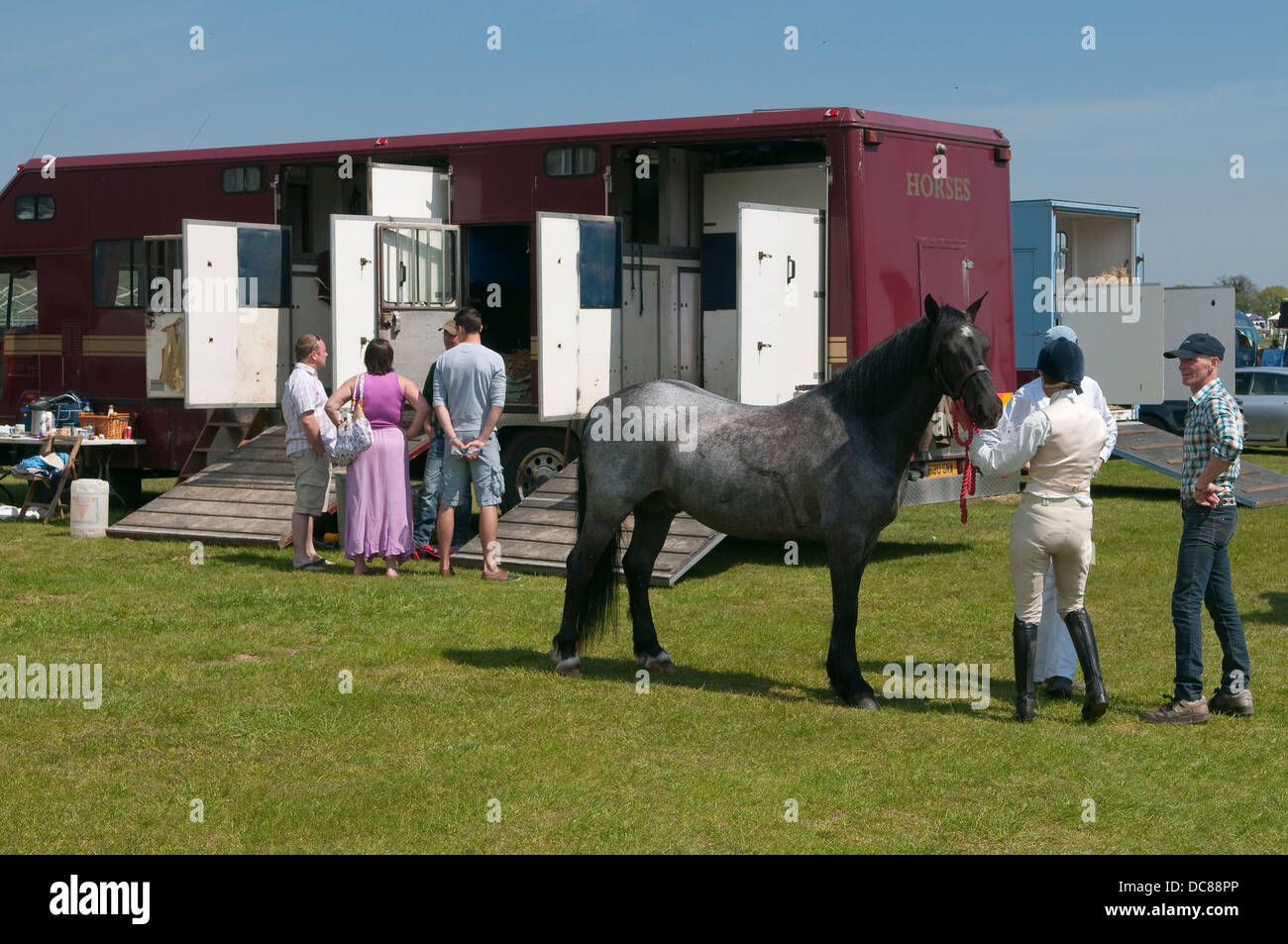 À côté de cheval chariot à cheval Horse Show de Suffolk Ipswich, Royaume-Uni. Banque D'Images