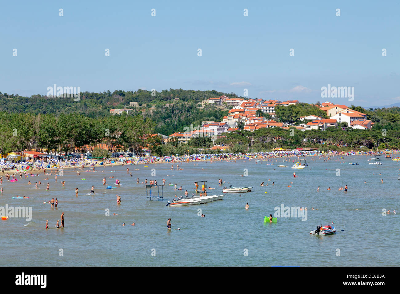 Plage Lopar île De Rab Le Golfe De Kvarner Croatie