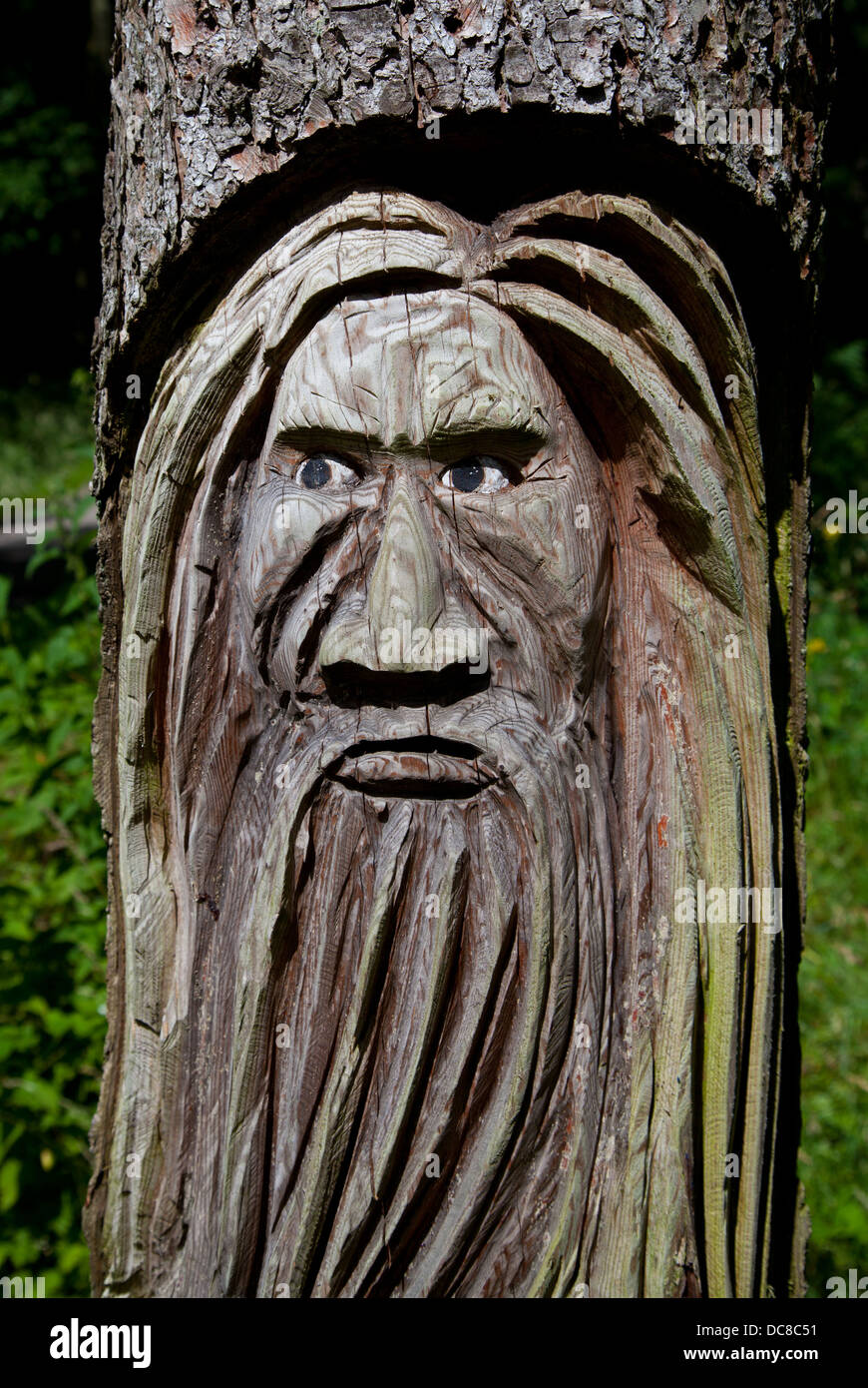 Une sculpture d'un homme vert dans un parc forestier / forestiers dans un  tronc d'arbre Photo Stock - Alamy