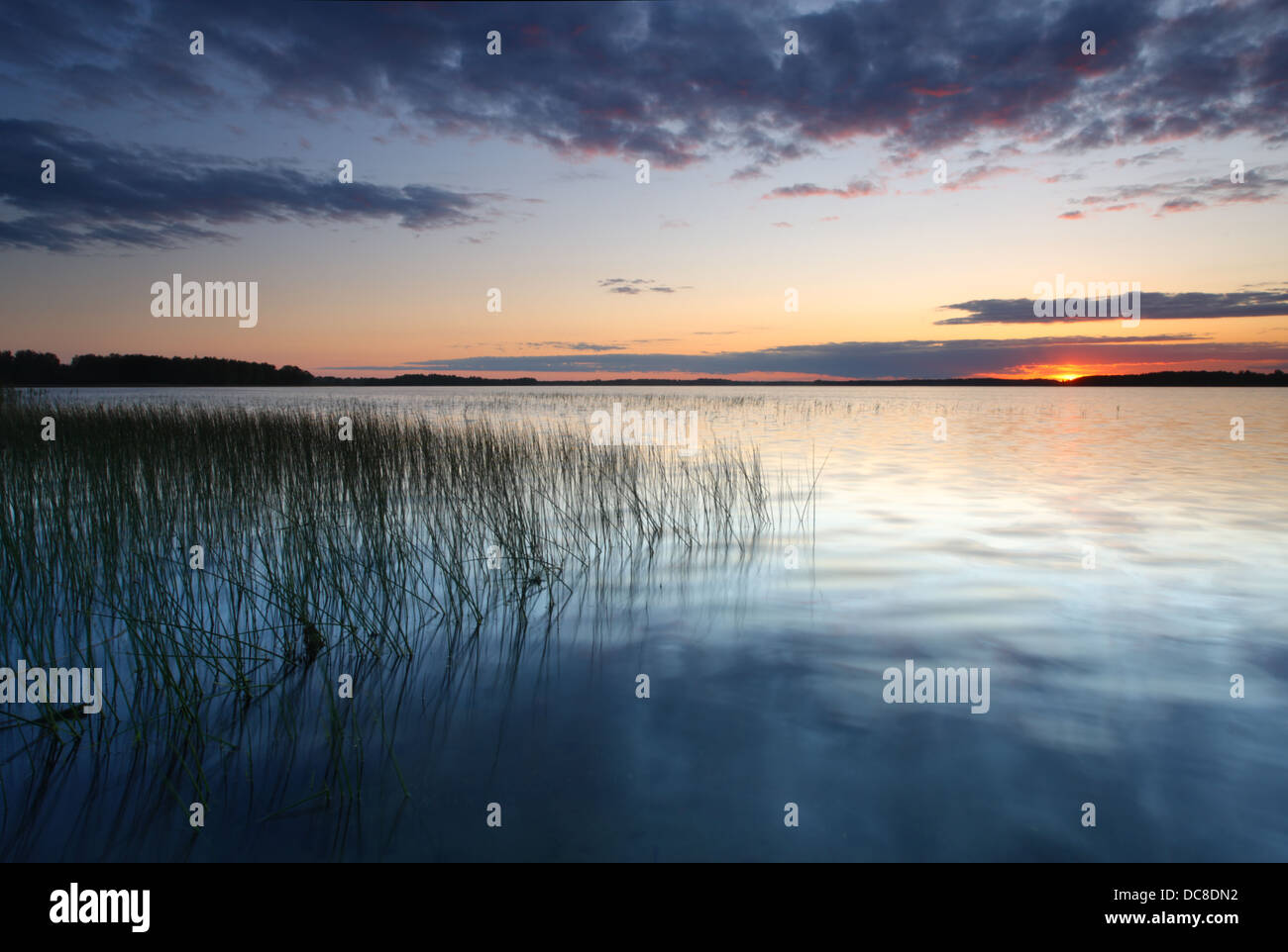 Saadjärv Lac au coucher du soleil. L'Estonie, Europe Banque D'Images