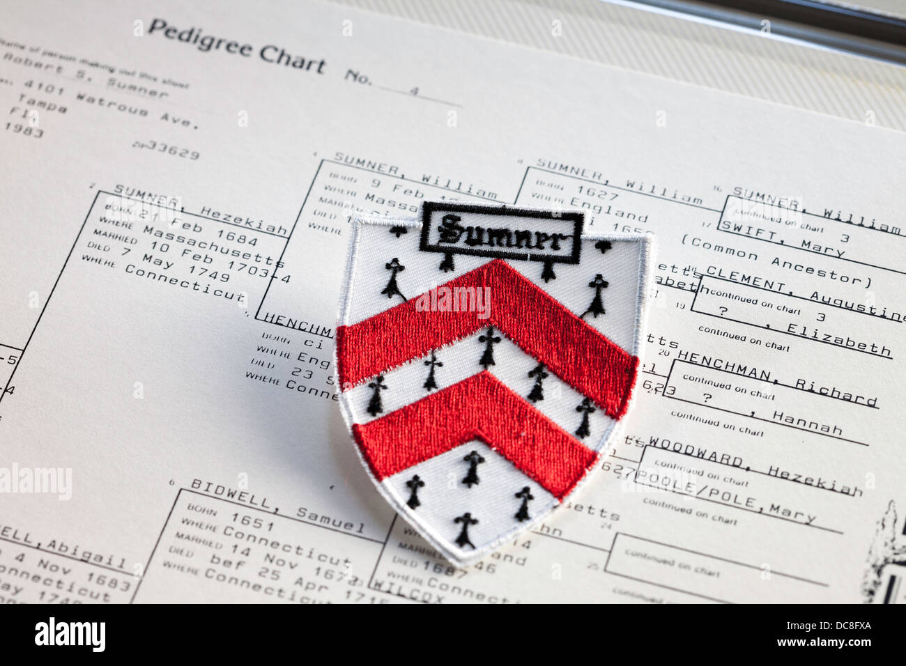 Armoiries de la famille Sumner sur Family Tree Documents lignée USA Banque D'Images