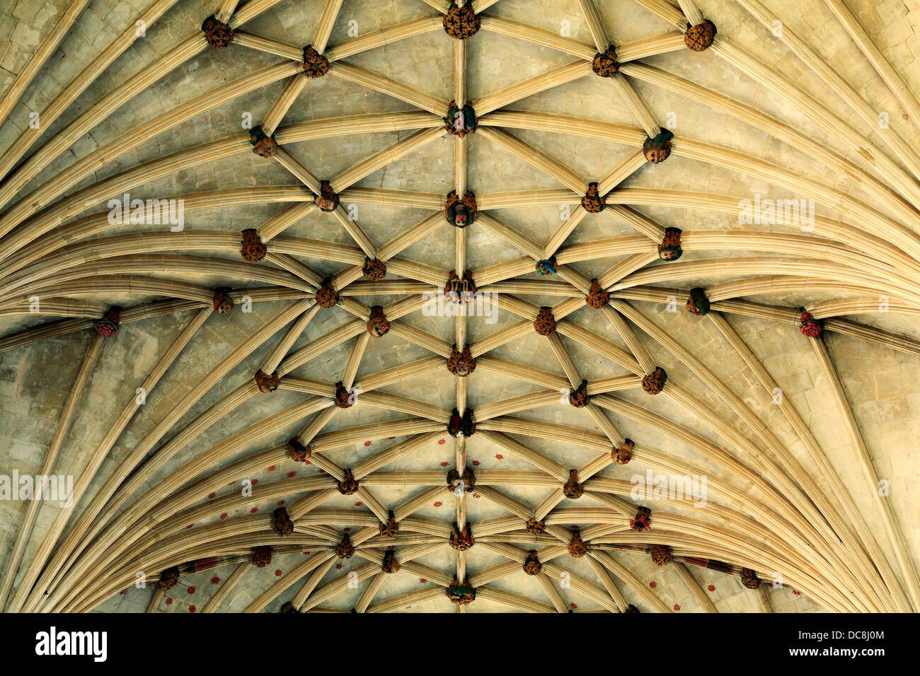 Cathédrale d'Ely, Dame Chapelle, lierne vault toit plafond 14e siècle anglais architecture médiévale Cambridgeshire England UK roofs Banque D'Images
