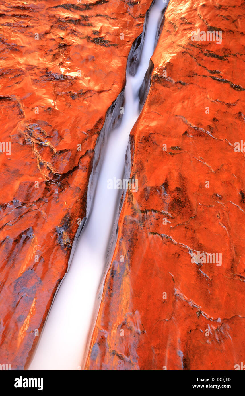 L'eau qui coule dans une fente de rochers de grès dans le parc national de Zion, Utah, USA Banque D'Images