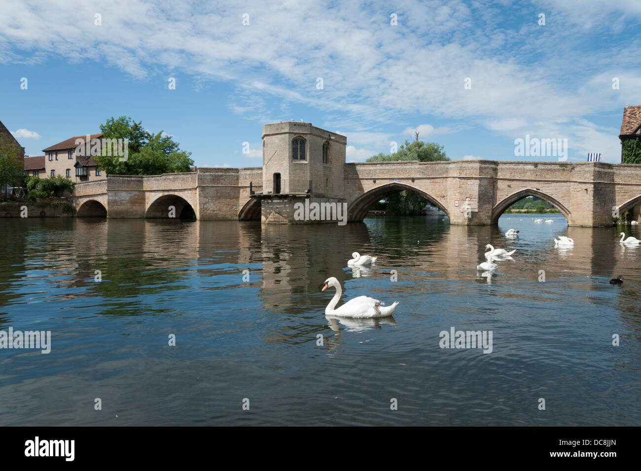 Le vieux pont St Ives Cambridgeshire UK aux cygnes sur la rivière Great Ouse UK Banque D'Images