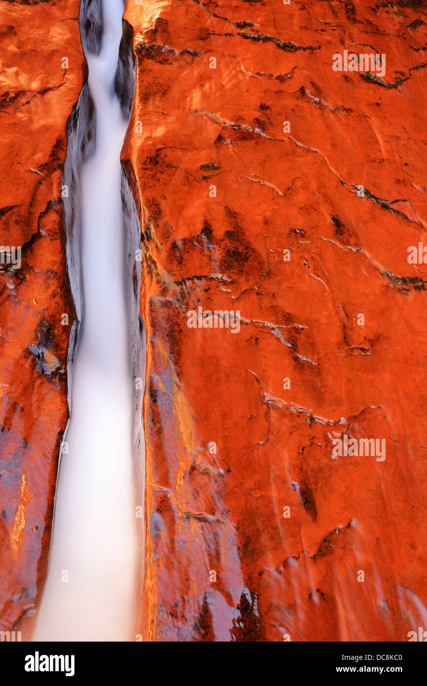 L'eau qui coule à travers le crack dans Zion National Park, Utah, USA près du métro Canyon Banque D'Images