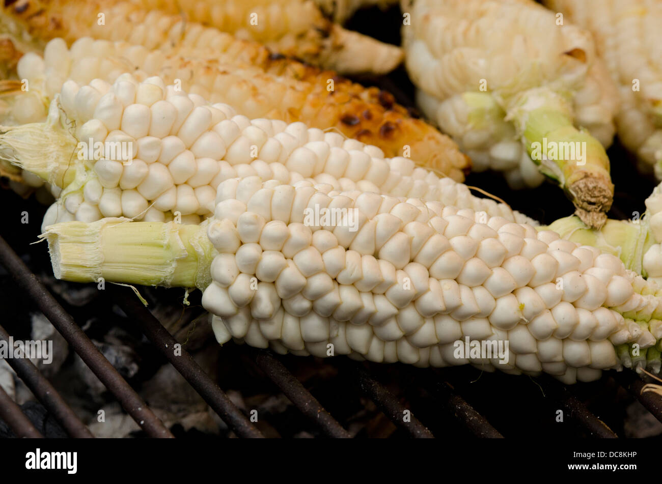 L'Equateur, Quito. Marché d'Otavalo. Des épis de maïs local de la torréfaction sur le grill. Banque D'Images