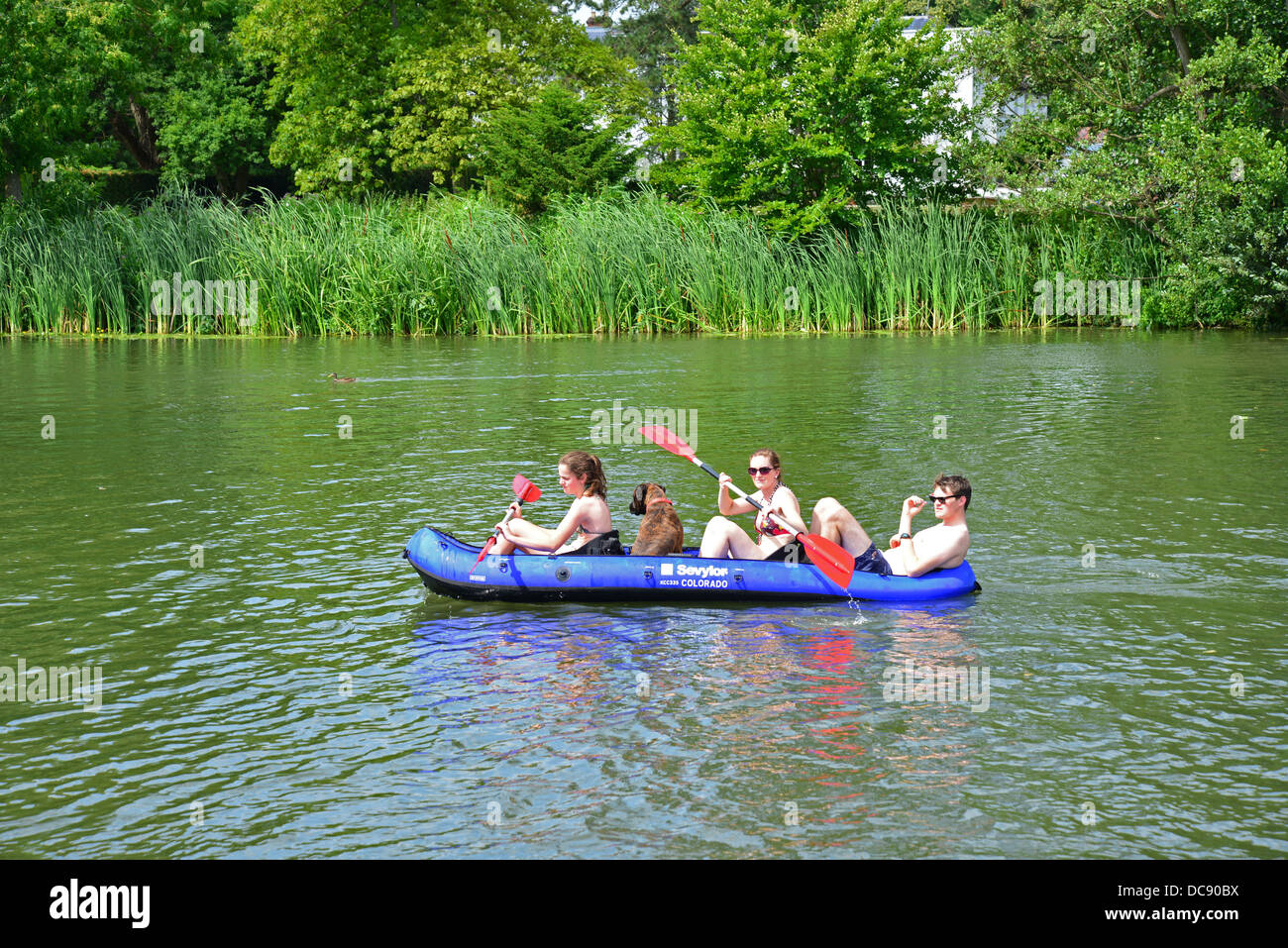 Jeune Groupe avec chien du kayak sur la rivière Thames, Reading, Berkshire, Angleterre. United Kingdom Banque D'Images