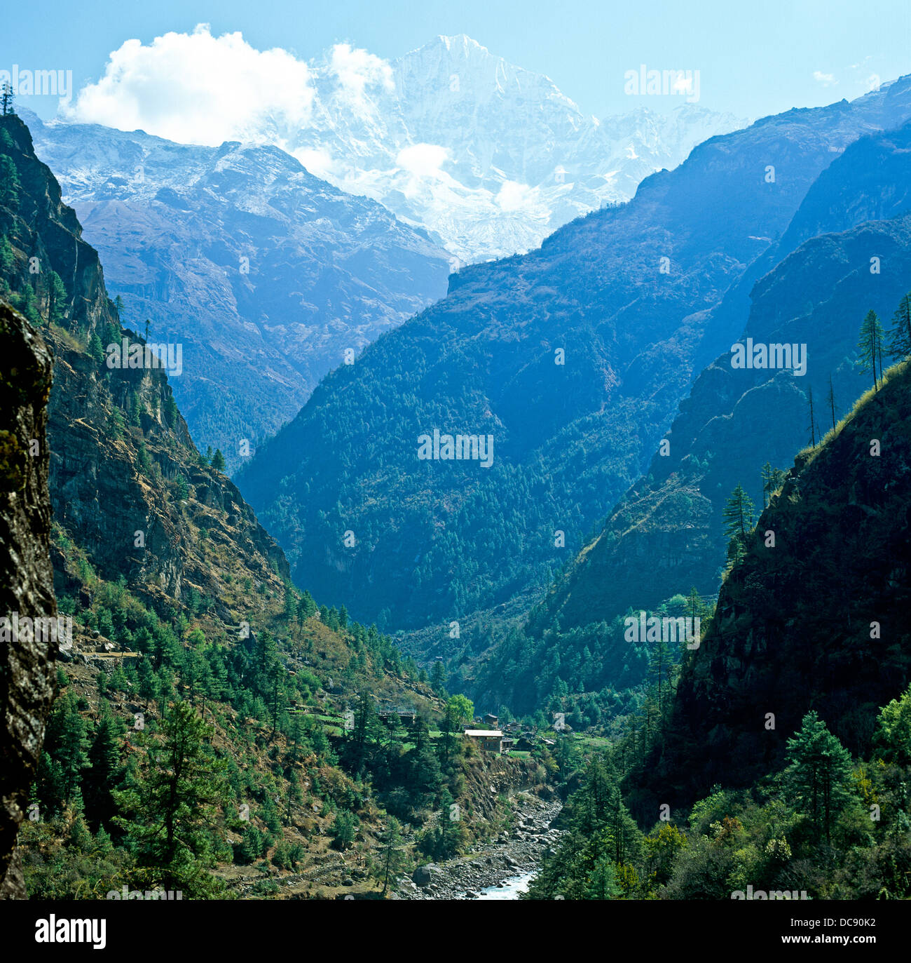La vallée de Langtang Himalaya Népal Banque D'Images