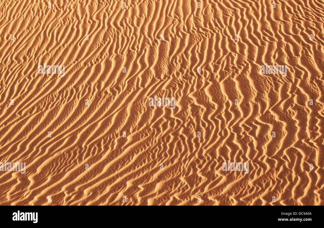 Paysage de dunes, Maspalomas, Gran Canaria, Îles Canaries, Espagne Banque D'Images