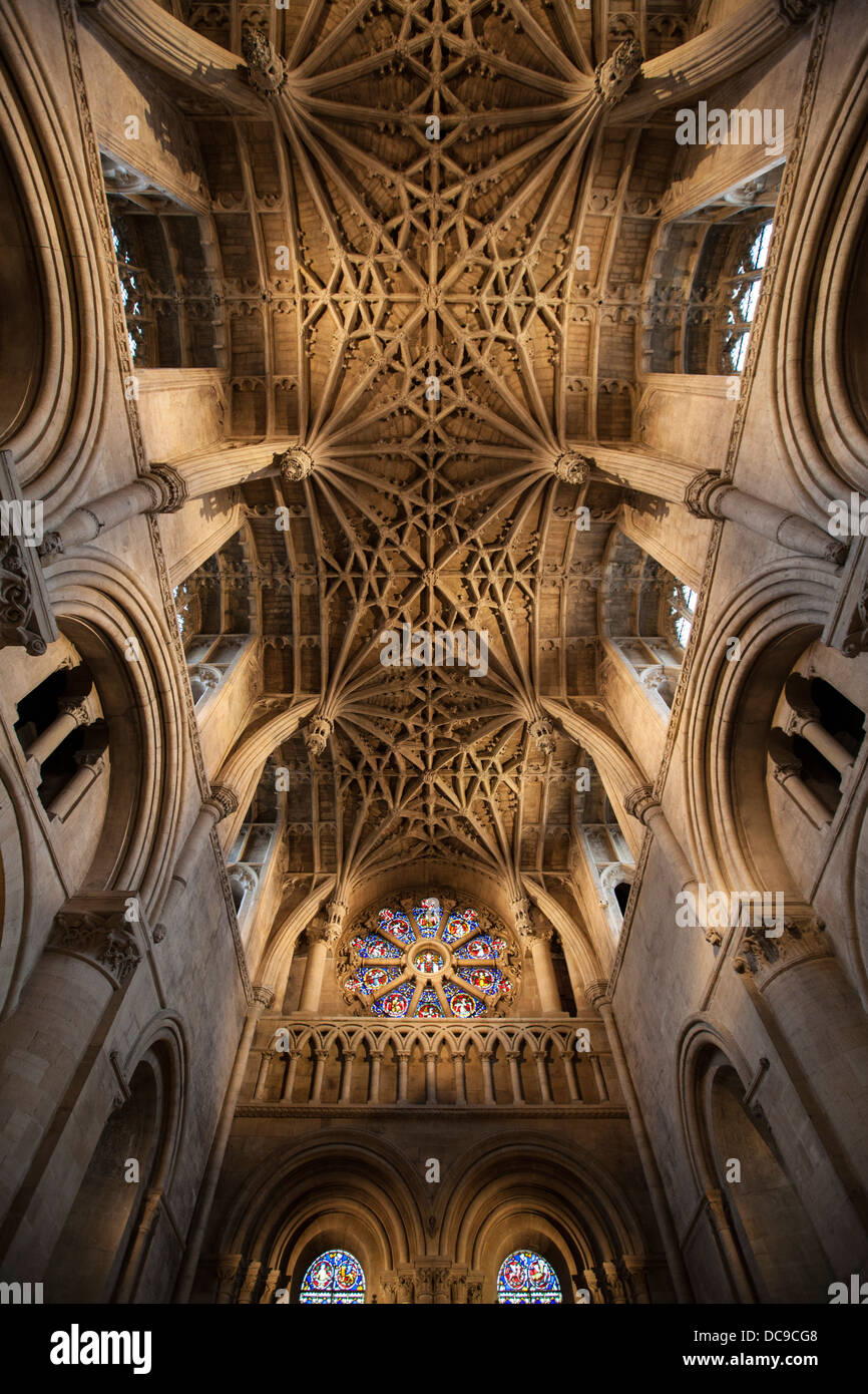 Le plafond voûté de la cathédrale du Christ Church College, Université d'Oxford, Angleterre Banque D'Images