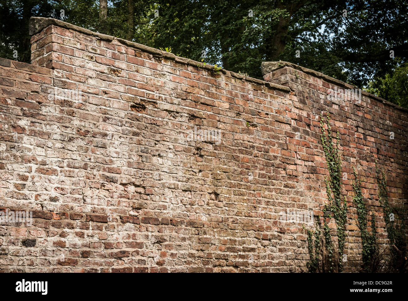 Mur de jardin en briques anciennes. Banque D'Images