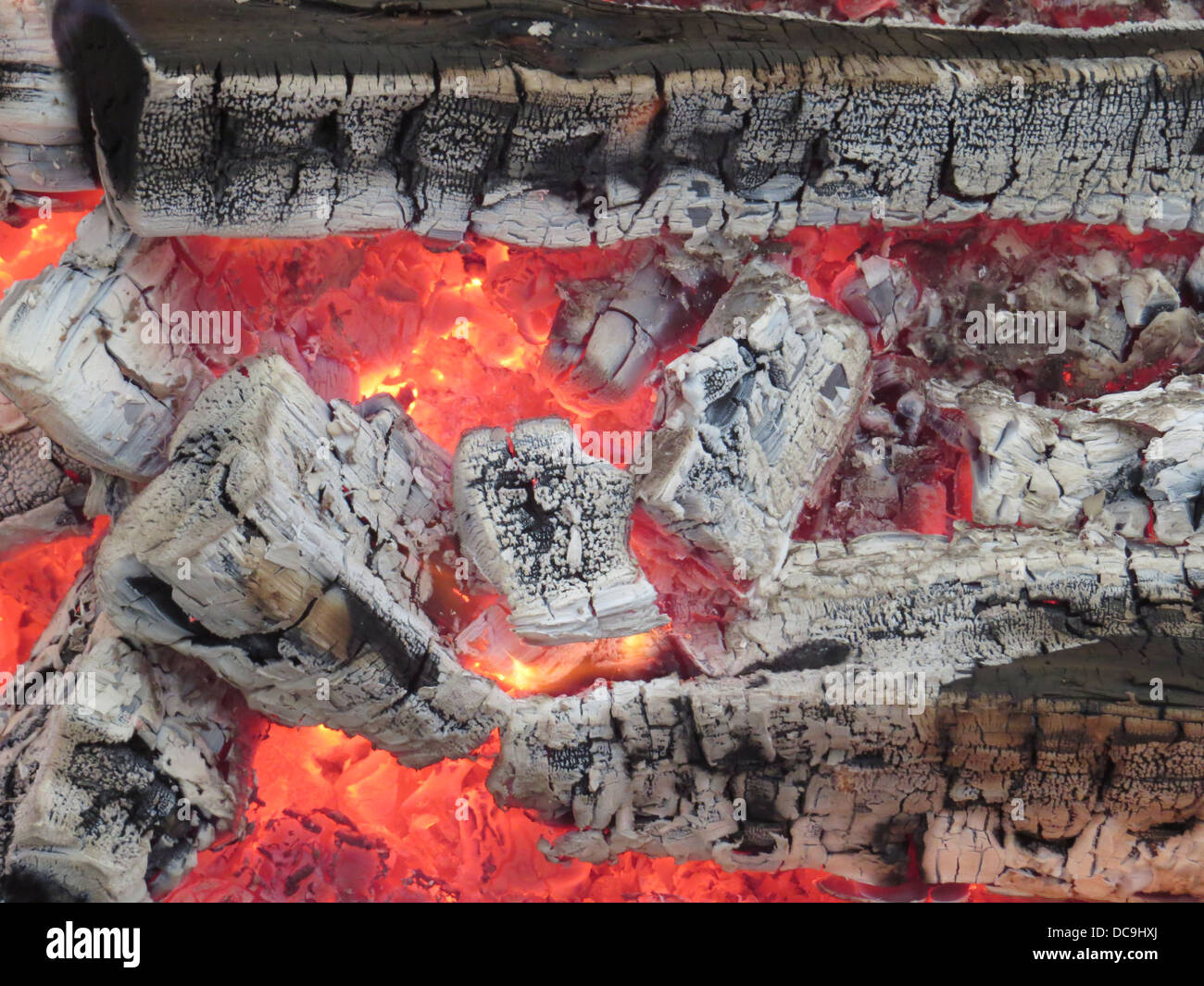 Feu de bois. Photo Tony Gale Banque D'Images