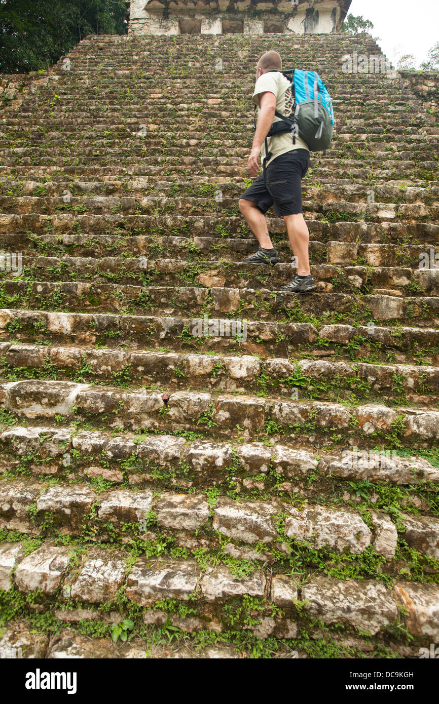 Man climbing les étapes d'une ancienne pyramide sur les motifs de Palenque ruines mayas dans l'État du Chiapas, au Mexique. (MR) Banque D'Images