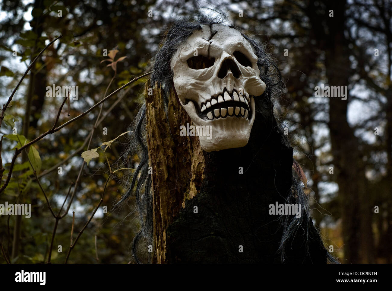 Masque de Hallowe'en Banque D'Images