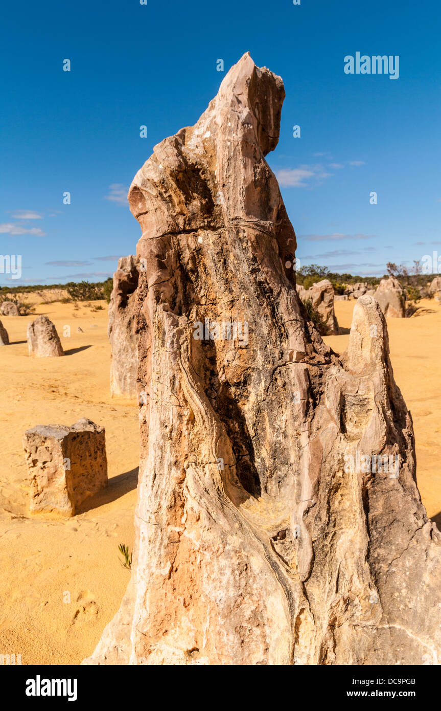 Les PINNACLES, le Parc National de Nambung, PRÈS DE CERVANTES, Australie occidentale, Australie Banque D'Images