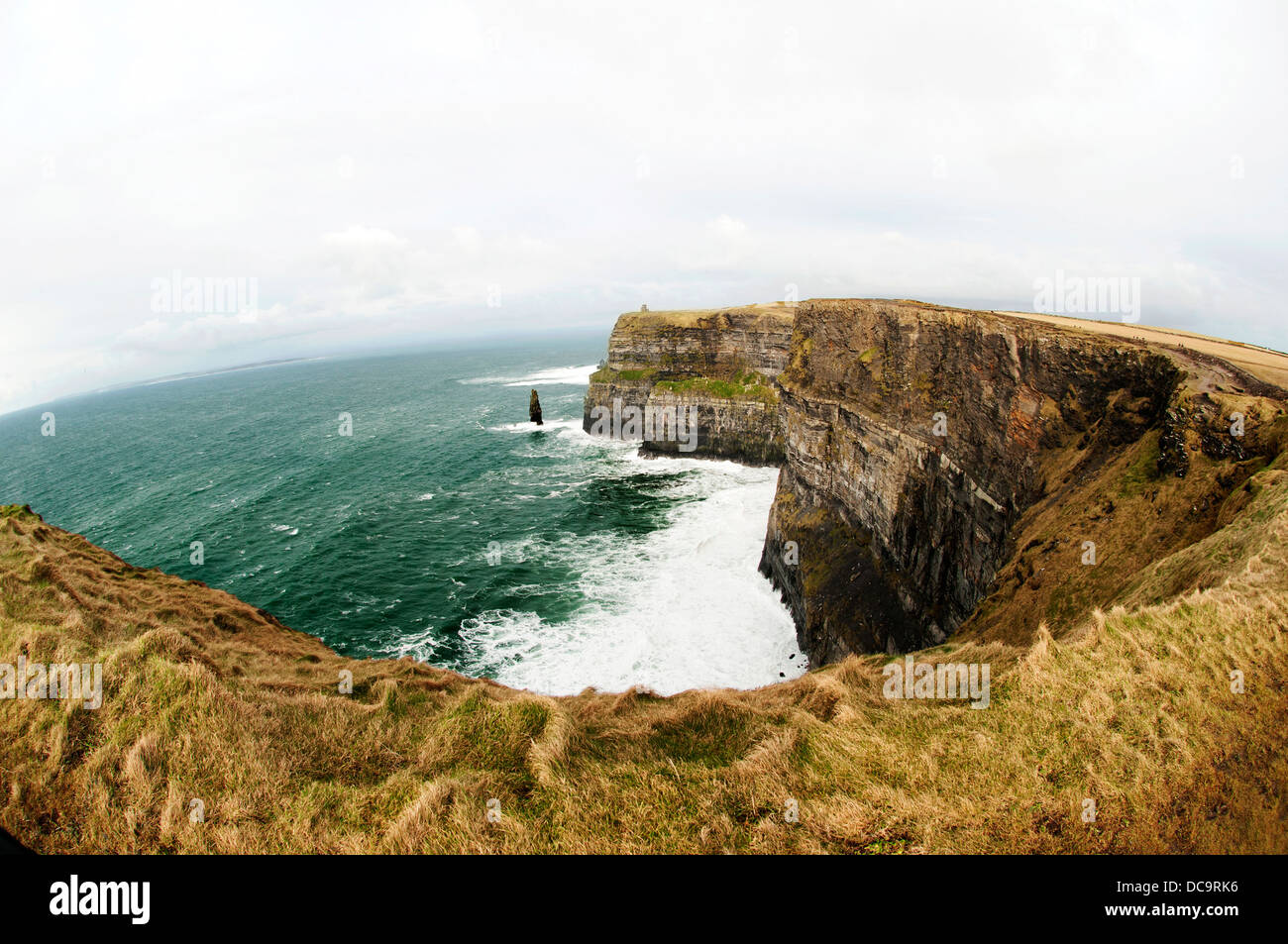 Les falaises de Moher sont situées à la limite sud-ouest de la région du Burren dans le comté de Clare, Irlande. Banque D'Images