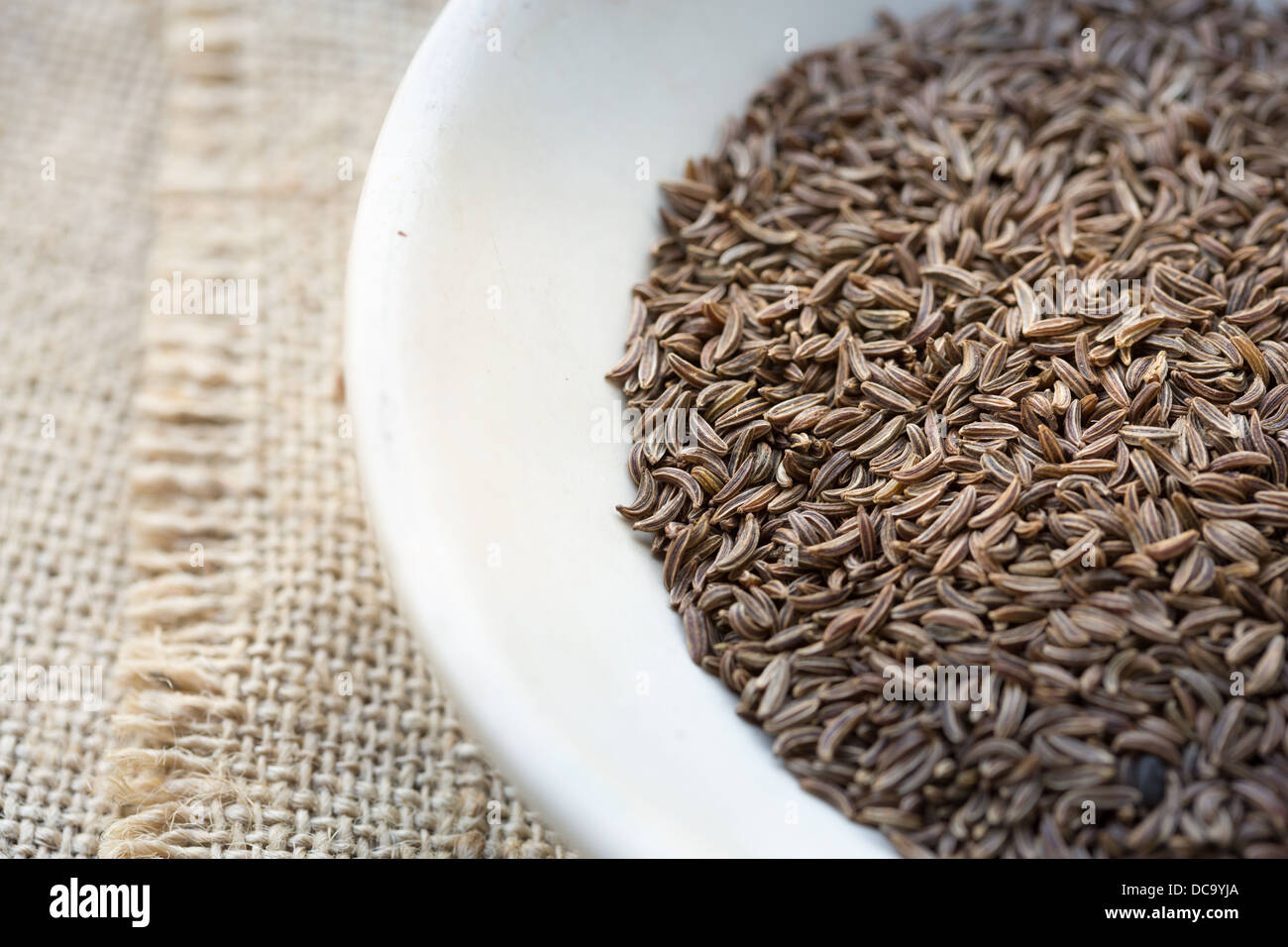 Kummel seeds (Carum carvi) Banque D'Images