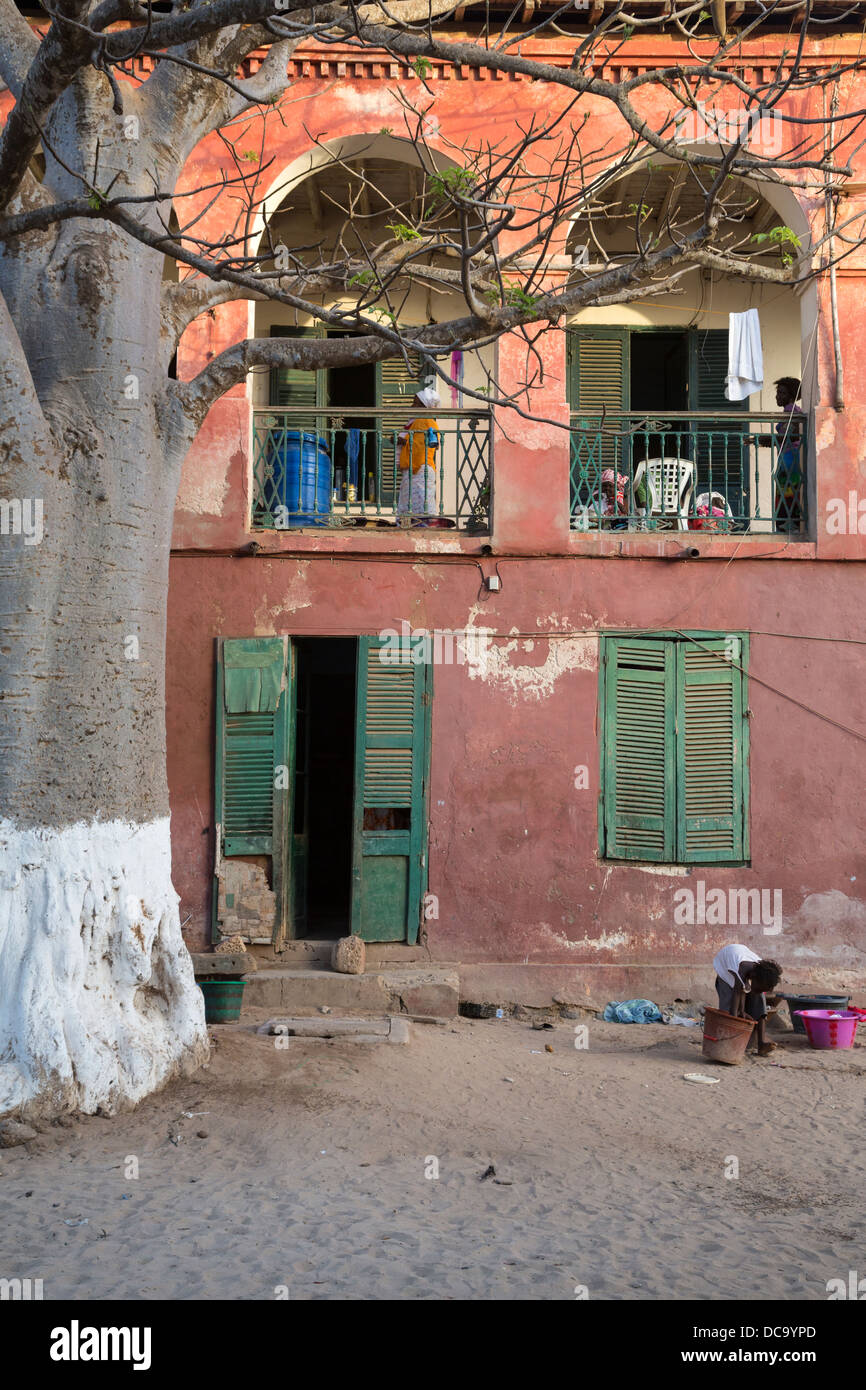 Baobab et vieille maison, l'île de Gorée, au Sénégal. Banque D'Images