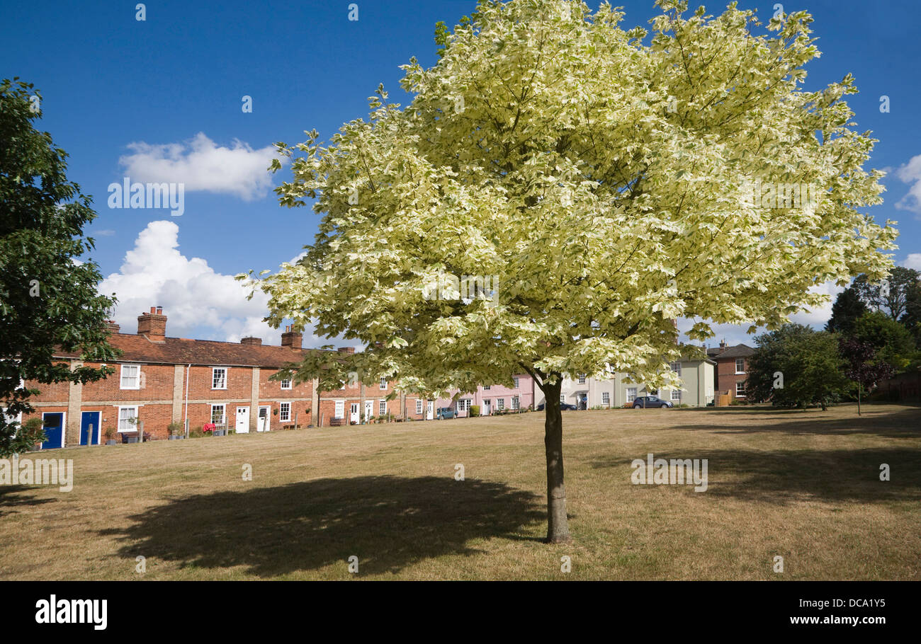Maisons bâtiments historiques Angleterre Essex Mistley Banque D'Images