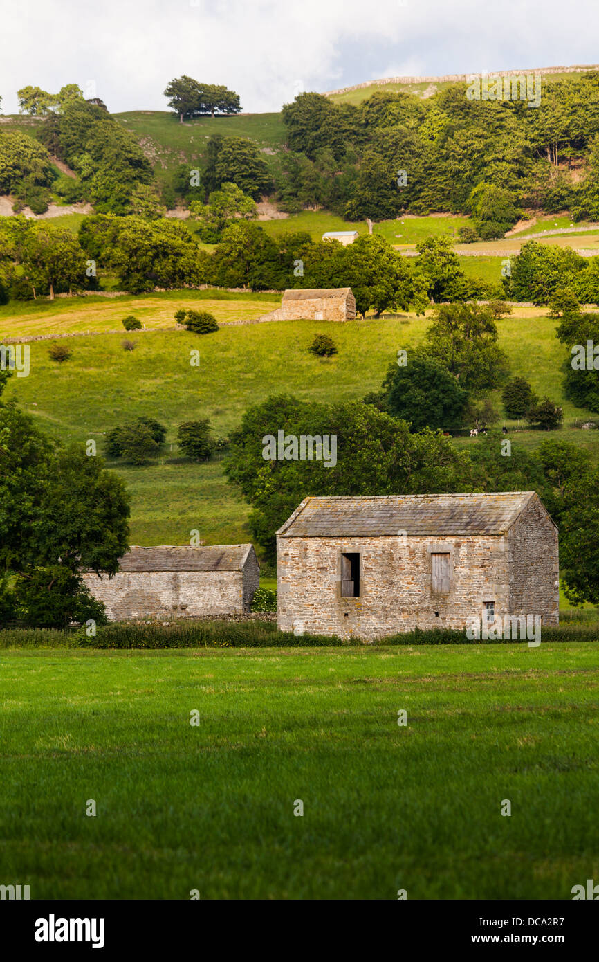 Yorkshire Dales domaine des granges, ou des granges, à l'été. Banque D'Images